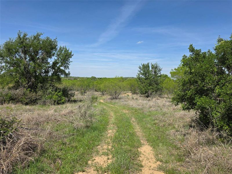 Natural landscape and outdoor views near  in San Saba (Image 29).