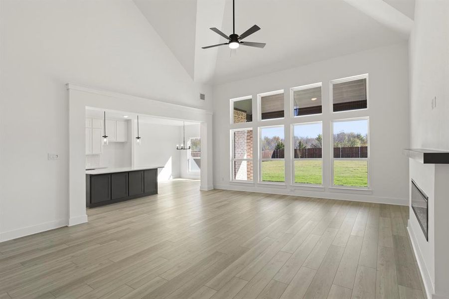 6_07. 953 Gold Finch - Family