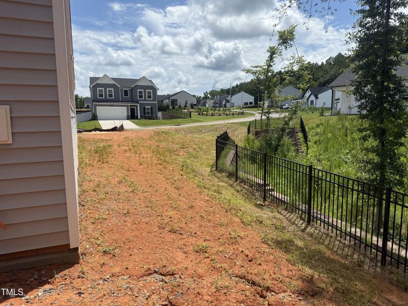 IMG_5865 - Copy IMG_5865 - Copy