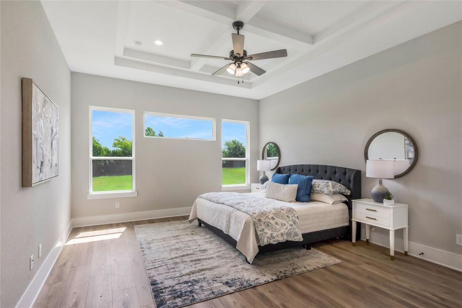 Primary bedroom, with decorative ceiling Primary bedroom, with decorative ceiling