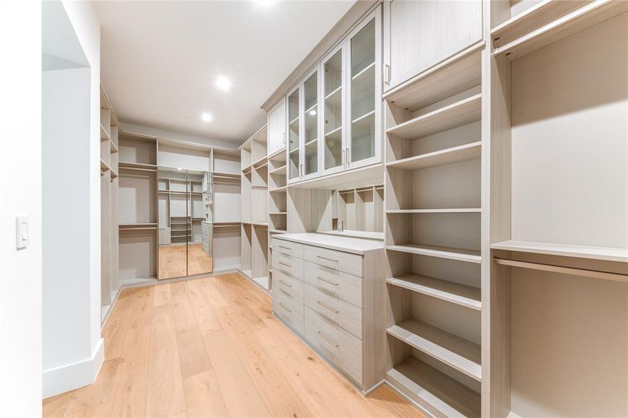 Spacious closet featuring light wood finished floors