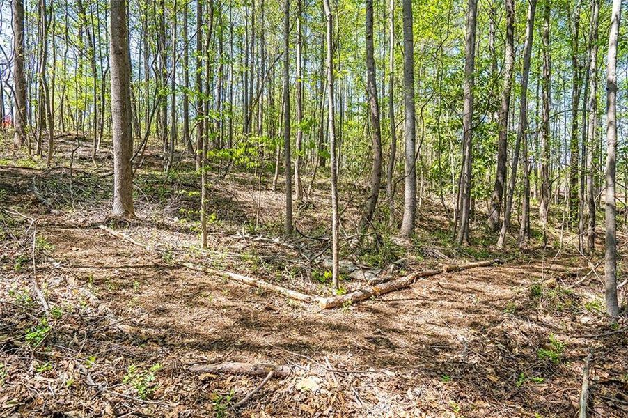 Natural landscape and outdoor views near Aster in Roswell (Image 15).