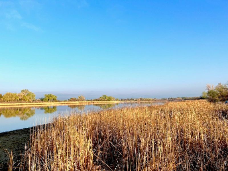 Natural landscape and outdoor views near Sonders in Fort Collins (Image 20).