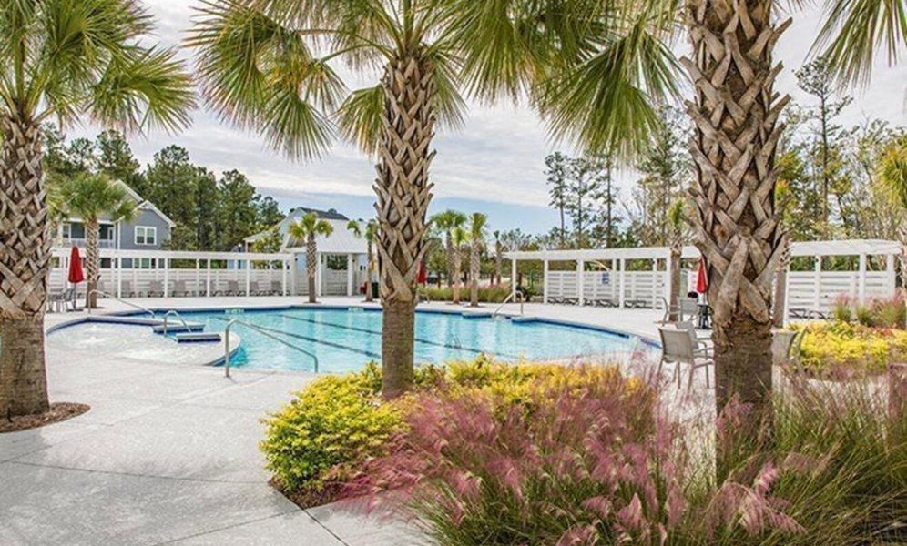 Community amenities in Heron's Walk at Summers Corner, Summerville (Image 30).