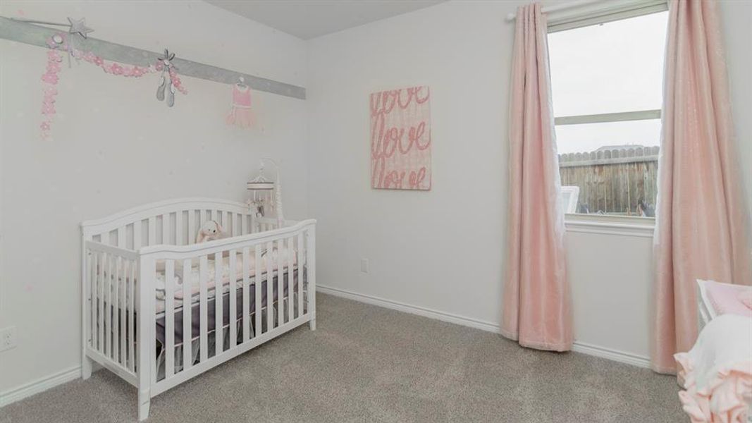 Light-filled room featuring a double-paned window, neutral wall paint, and gray carpet flooring