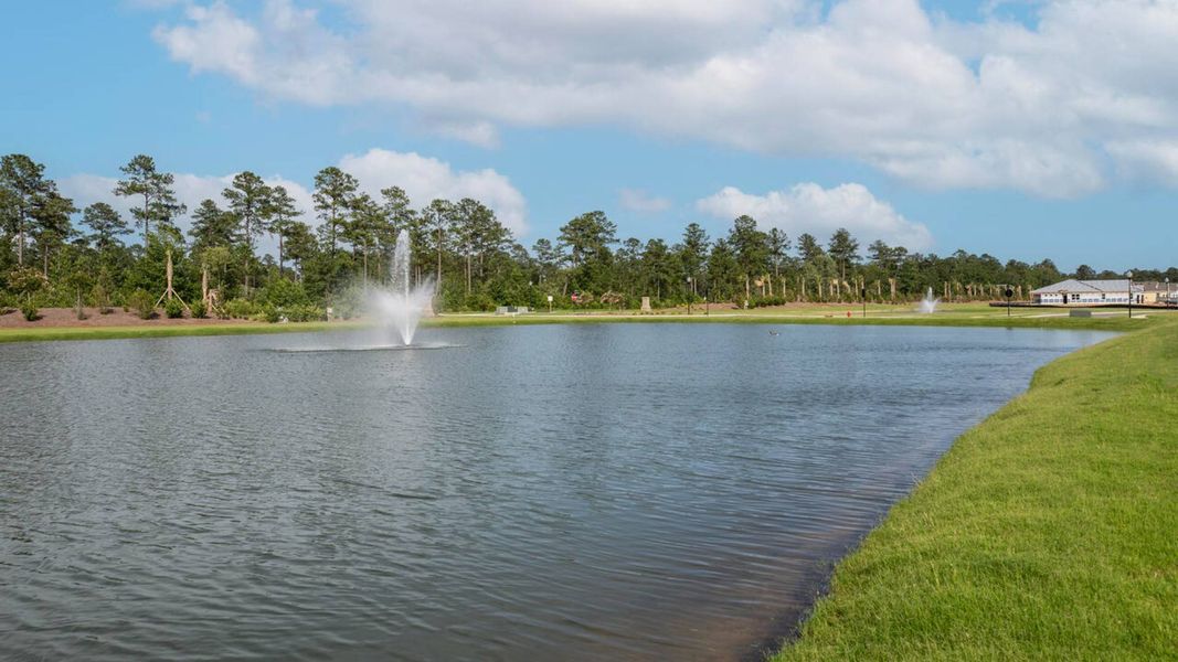 Outdoor and nature views near homes built from the Plan by D.R. Horton in Indigo Preserve, Leland (Image 6).