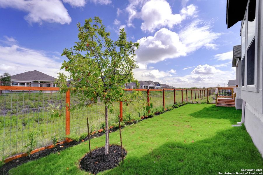 Exterior details and patio area of a home in The Crossvine, Schertz (Image 20).