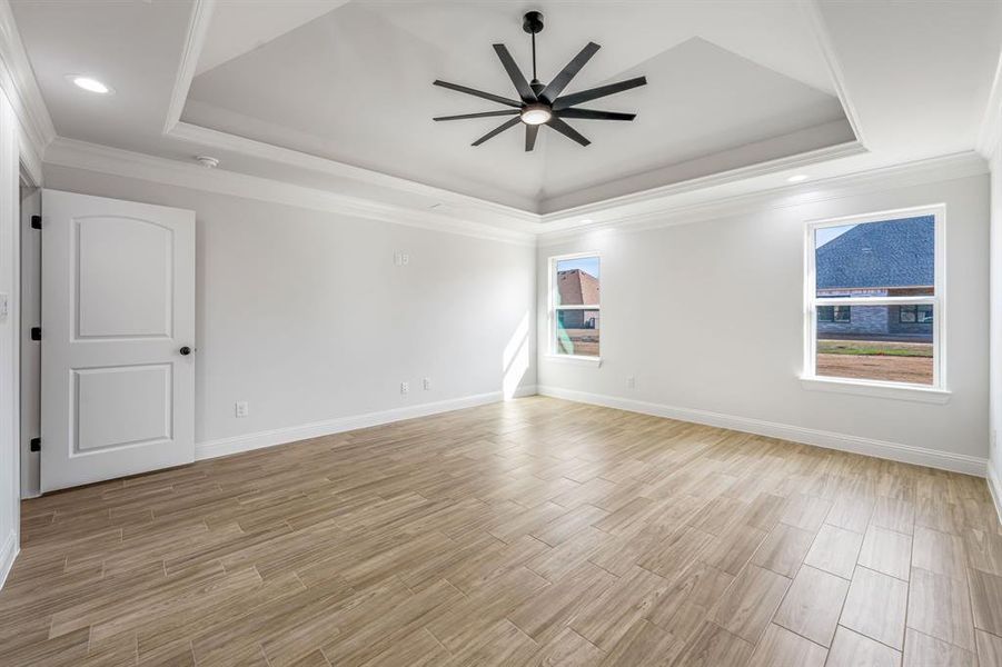 Spare room featuring a raised ceiling, ceiling fan, and ornamental molding