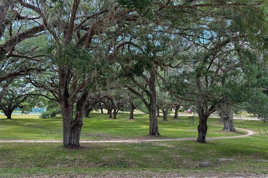 Natural landscape and outdoor views near  in Dunnellon (Image 30).