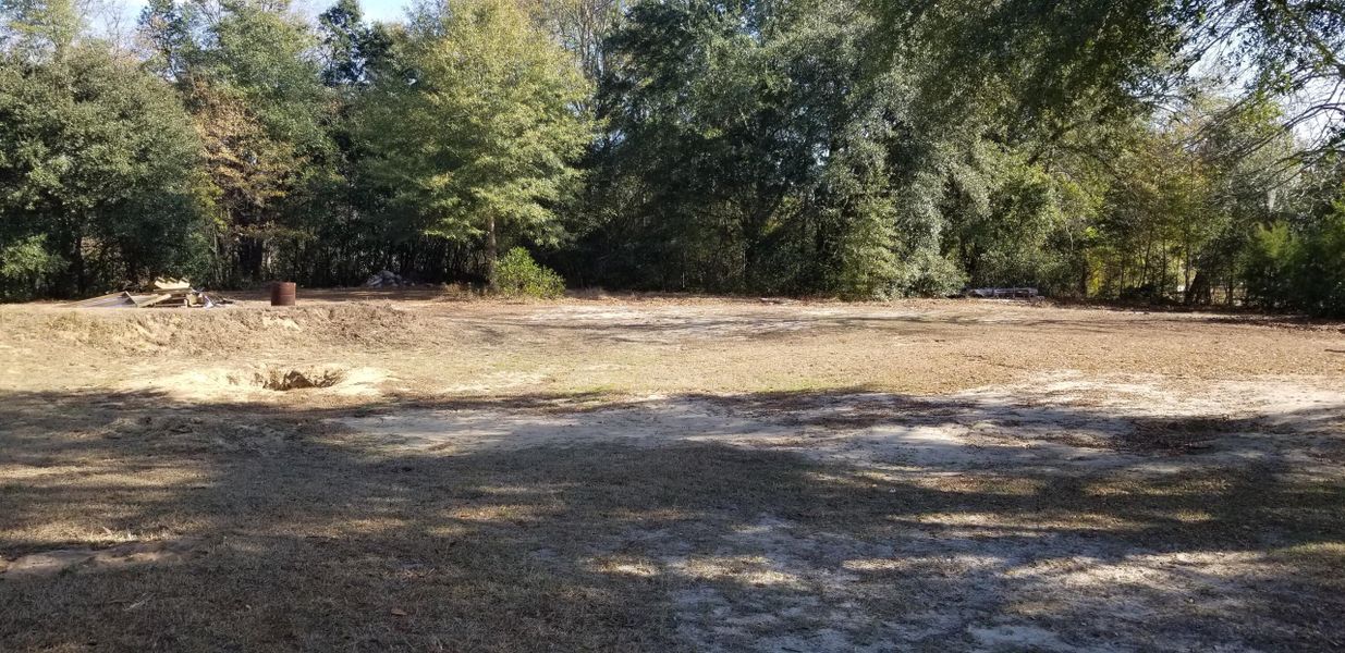 Natural landscape and outdoor views near  in Varnville (Image 25).