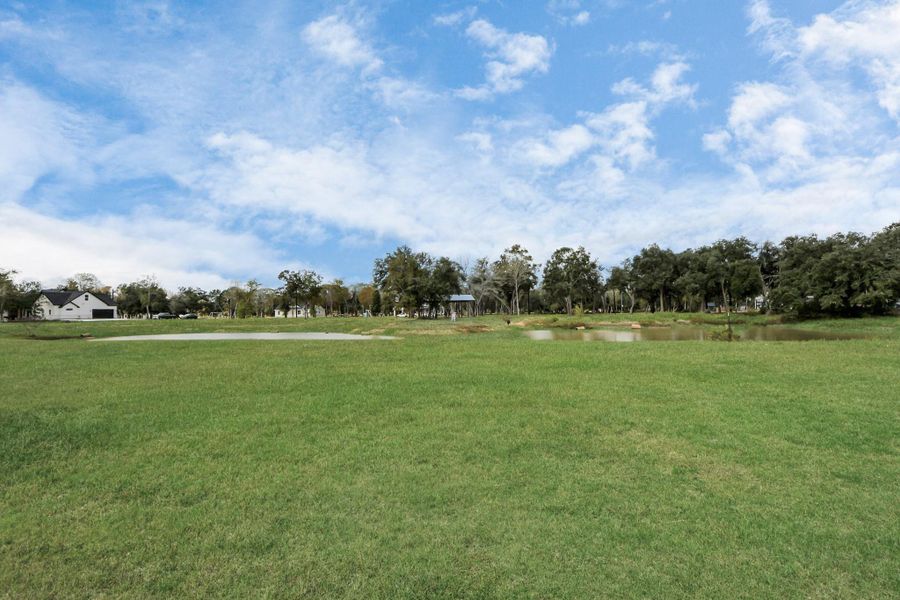 Natural landscape and outdoor views near in Alvin (Image 39). Natural landscape and outdoor views near in Alvin (Image 39).