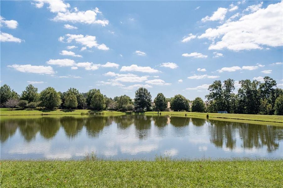 Natural landscape and outdoor views near Vickery in Cumming (Image 36).