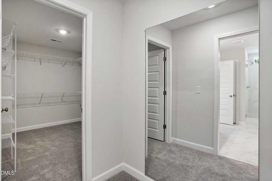 Primary Closet