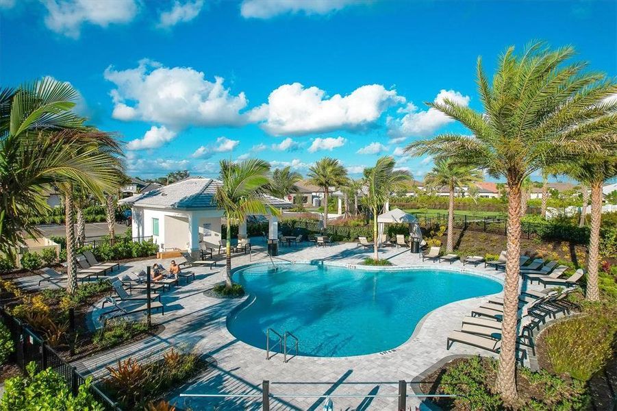 Community amenities in , Bradenton (Image 41). Community amenities in , Bradenton (Image 41).