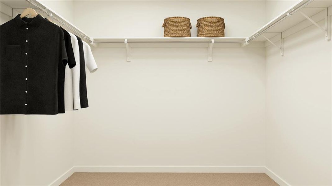 Spacious closet featuring light colored carpet