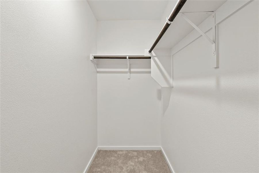 Walk-in closet featuring light grey carpet flooring, white painted walls, and built-in shelving with hanging rods