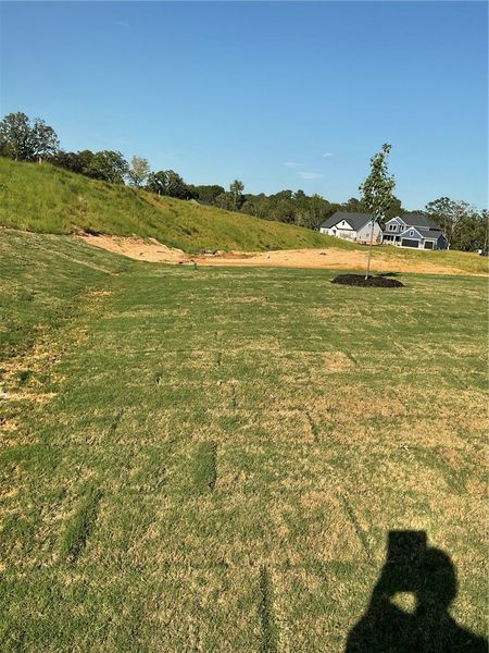 Natural landscape and outdoor views near Eagle Creek in Central (Image 6). Natural landscape and outdoor views near Eagle Creek in Central (Image 6).