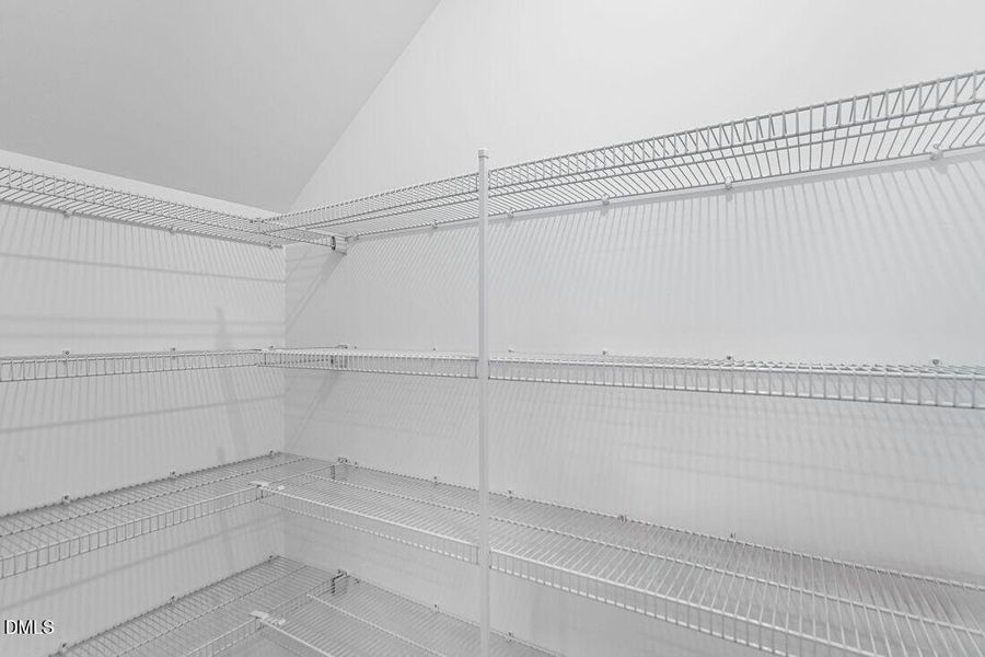 hj-nc-raleigh-eagle-trace-stella-lot-108