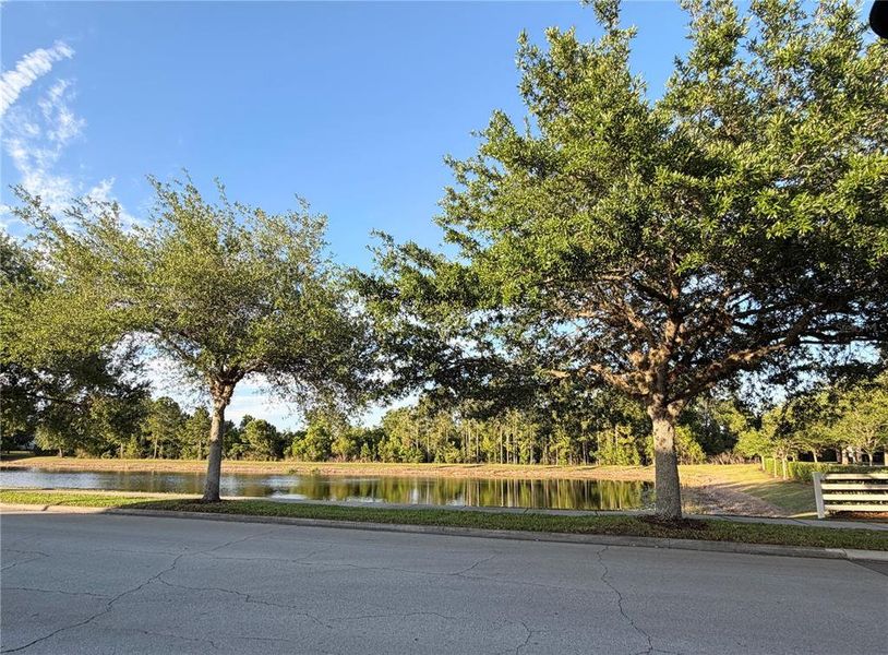 Natural landscape and outdoor views near  in Harmony (Image 13).