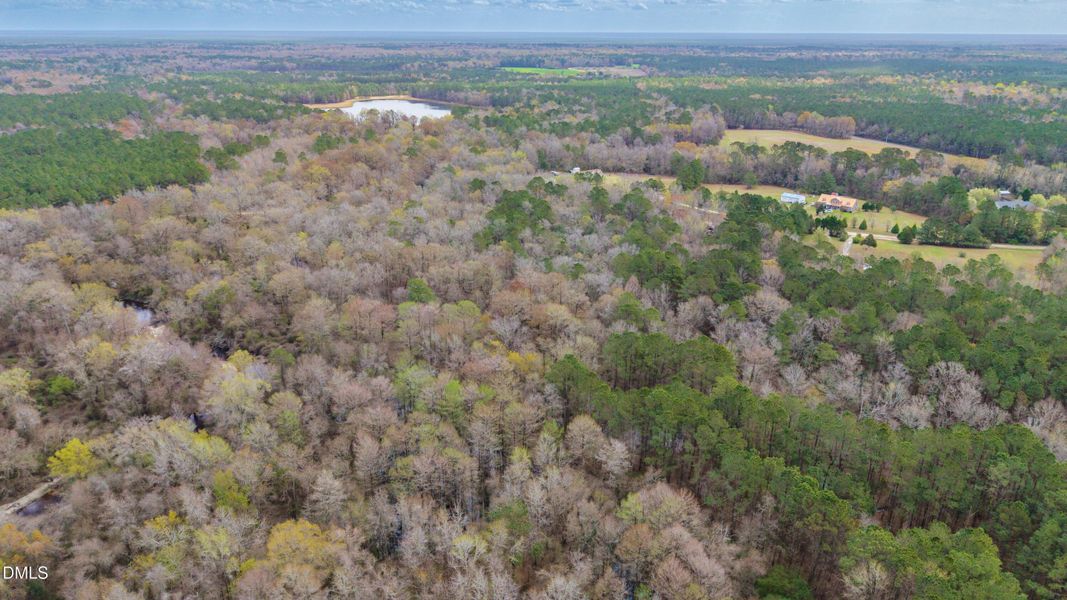 88-DJI_20260315234422_0063_D-HDR 88-DJI_20260315234422_0063_D-HDR