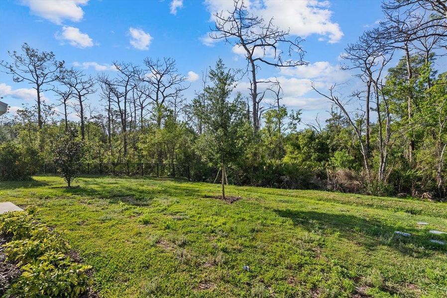 Natural landscape and outdoor views near  in Bradenton (Image 26).