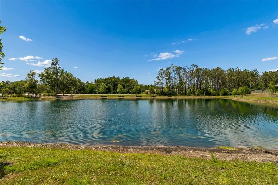 Natural landscape and outdoor views near Pearl Estates in Lutz (Image 46).