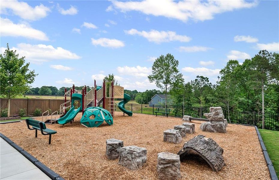 Community amenities in Hunters Creek, Flowery Branch (Image 24).