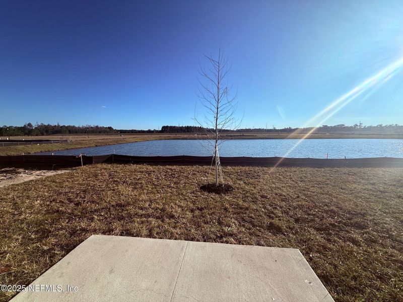Natural landscape and outdoor views near The Arbors in Jacksonville (Image 55).