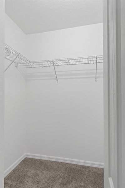 Spacious, unfurnished interior of a new home in , Brooksville (Image 29).