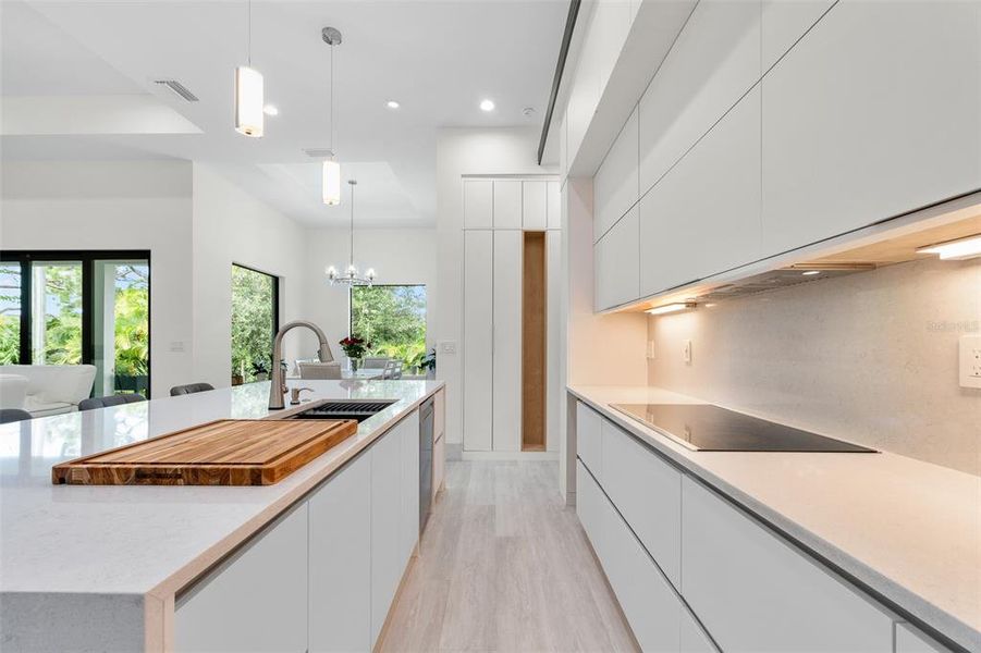 Furnished interior view inside a new home in , Venice (Image 11). Furnished interior view inside a new home in , Venice (Image 11).