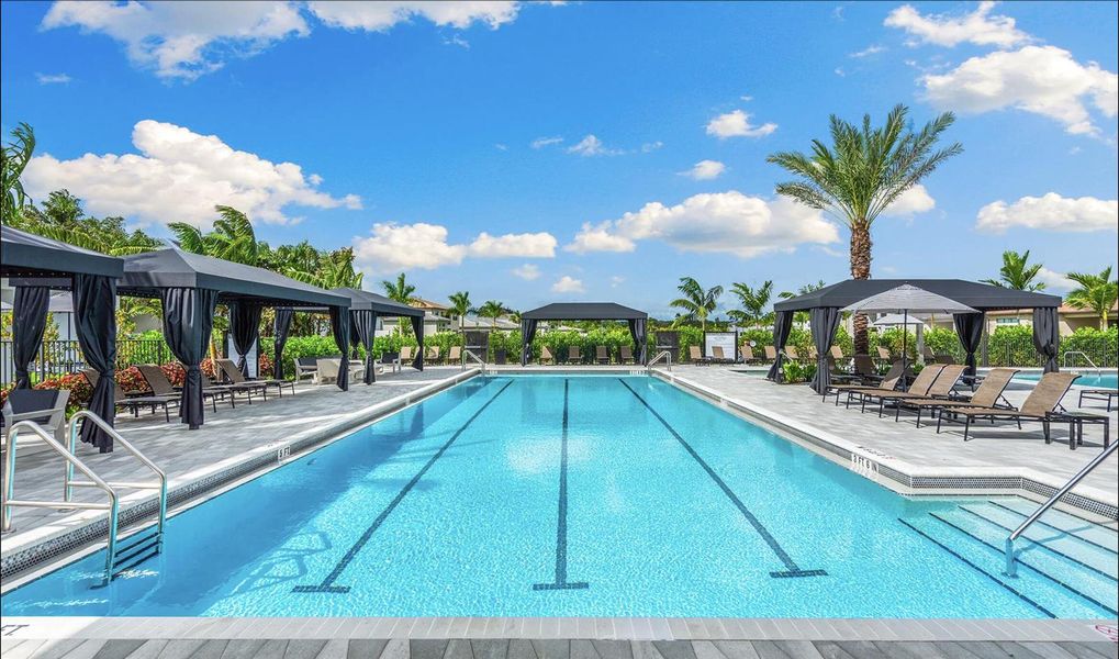 Lap Pool Lap Pool