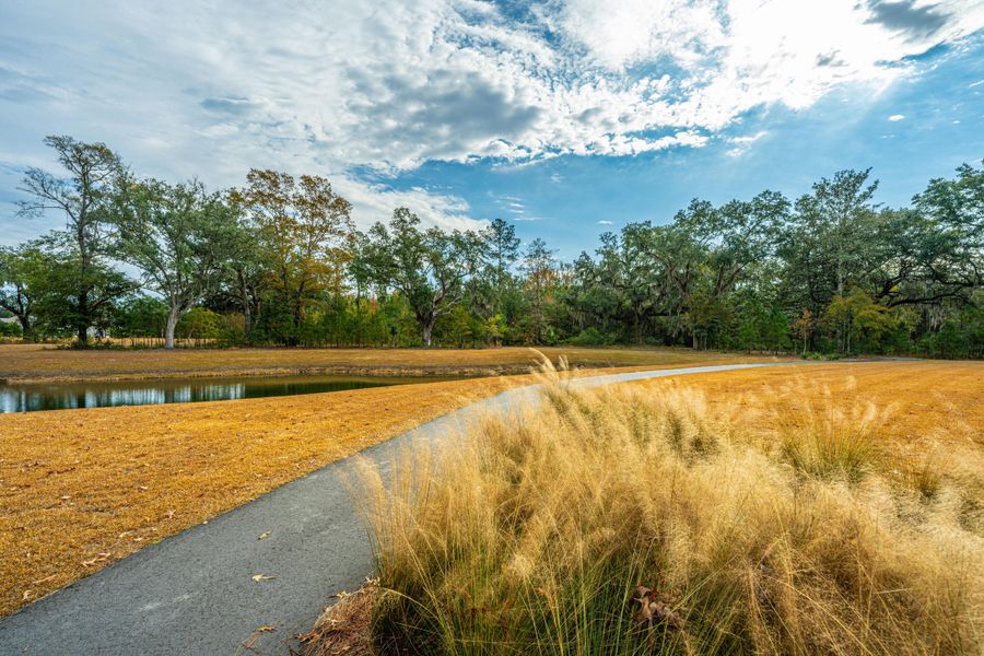 Natural landscape and outdoor views near Sea Island Preserve in Johns Island (Image 86).