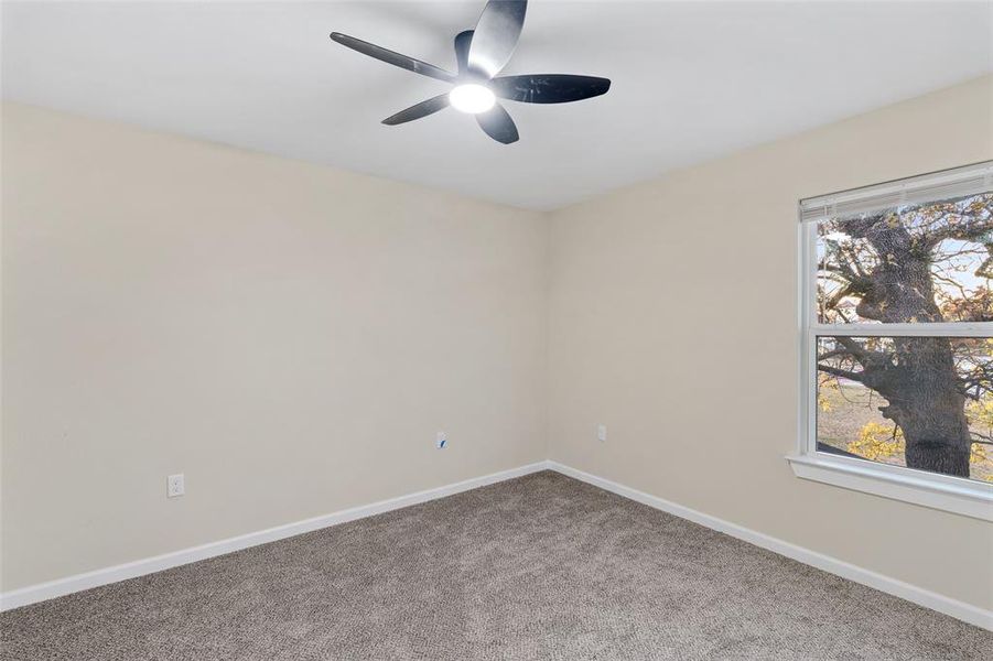 Unfurnished room with carpet flooring and ceiling fan