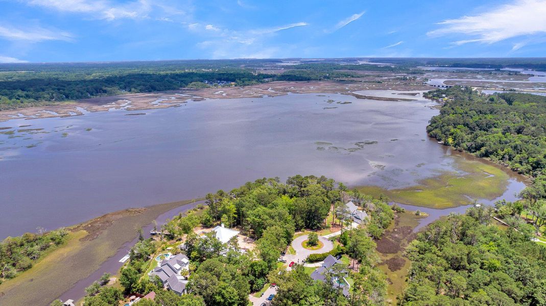 Natural landscape and outdoor views near  in Ravenel (Image 75).