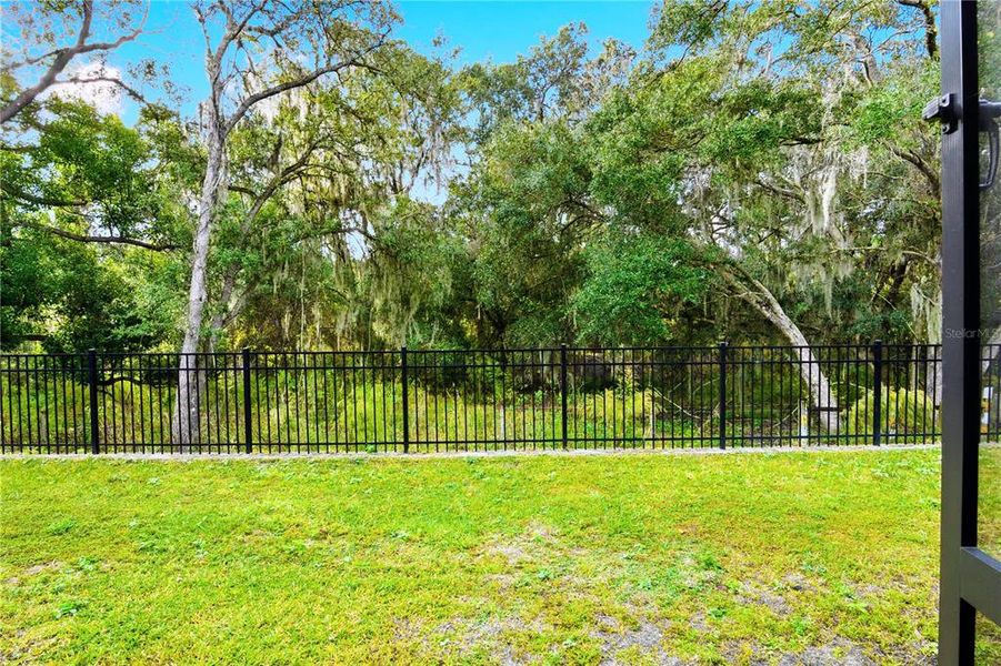 Natural landscape and outdoor views near in Kissimmee (Image 60). Natural landscape and outdoor views near in Kissimmee (Image 60).