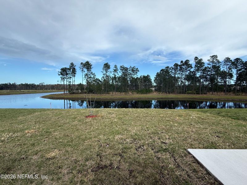 Natural landscape and outdoor views near Sawmill Branch in Palm Coast (Image 29).