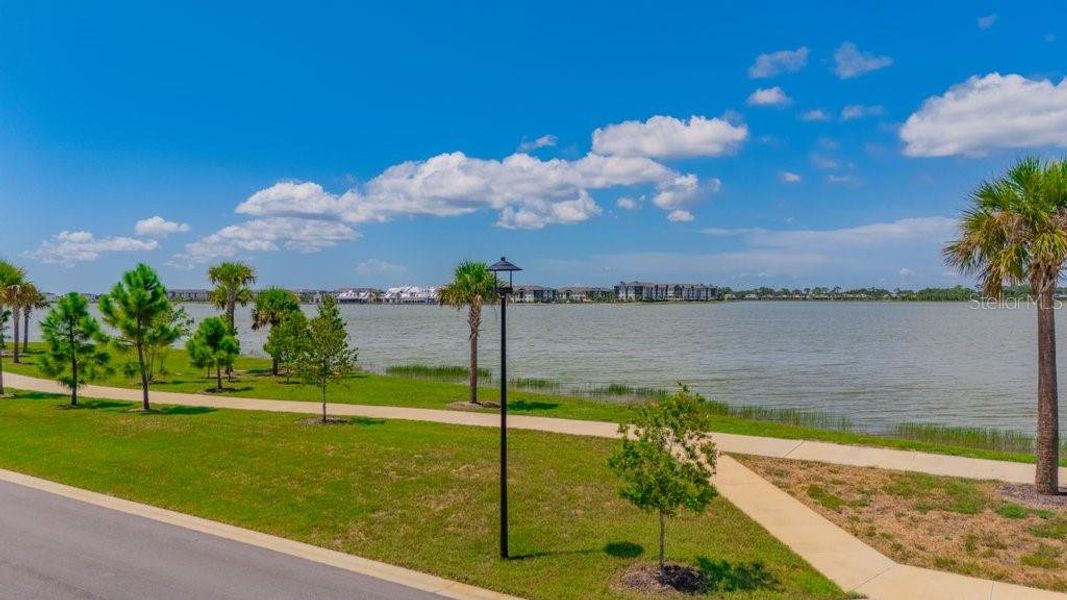 Natural landscape and outdoor views near  in Sarasota (Image 38).