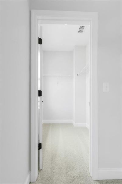 Spacious, unfurnished interior of a new home in Maddox Landing, Hoschton (Image 39).