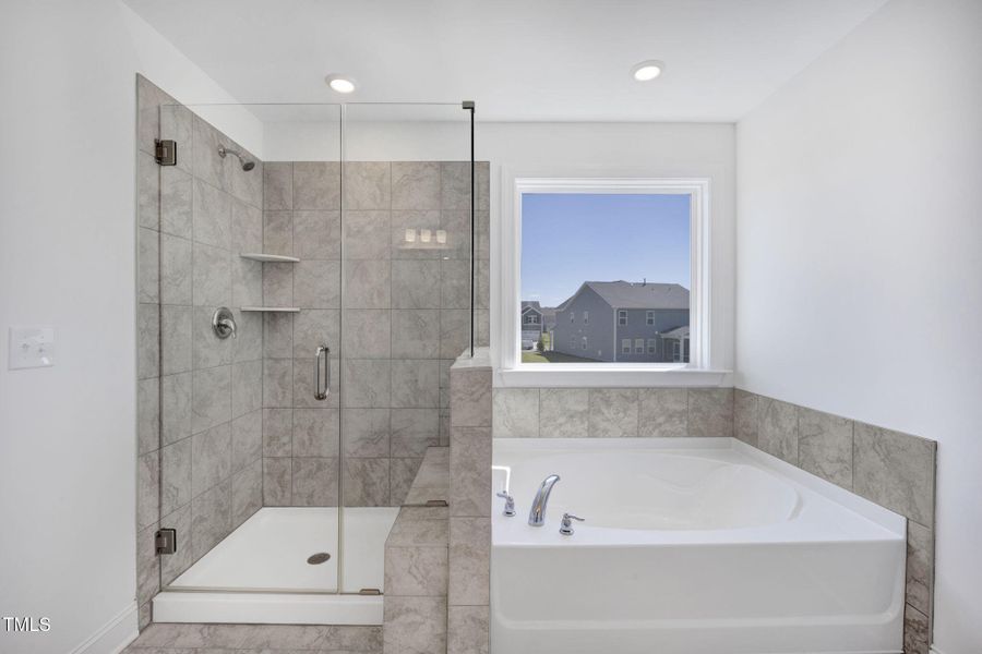 24-web-or-mls-484A6681