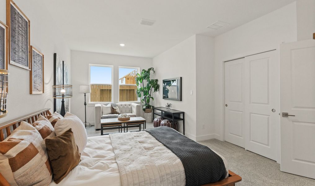 Extra Suite Extra Suite