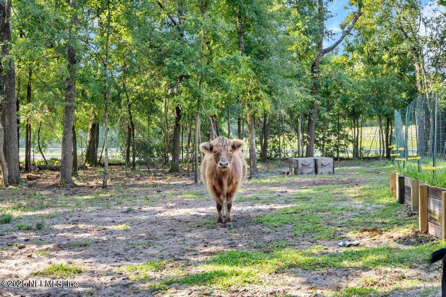 Image 32 of a home in .