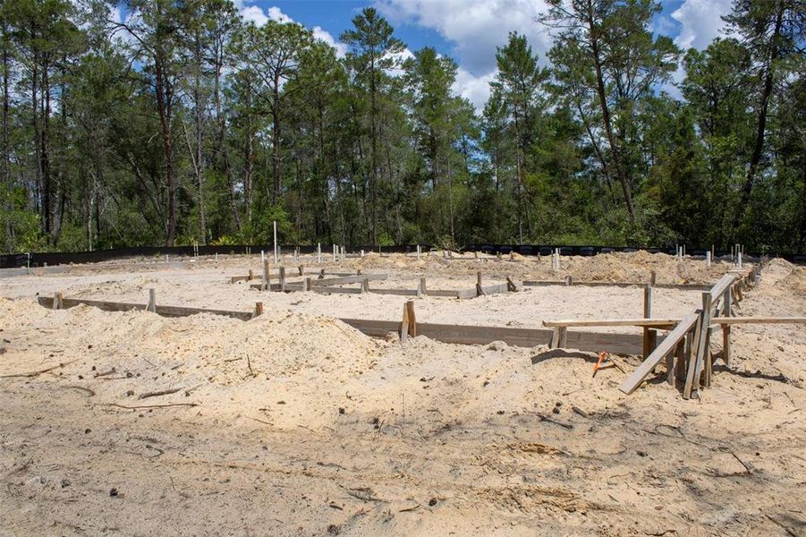 Site preparation for new homesites in , Beverly Hills (Image 3). Site preparation for new homesites in , Beverly Hills (Image 3).
