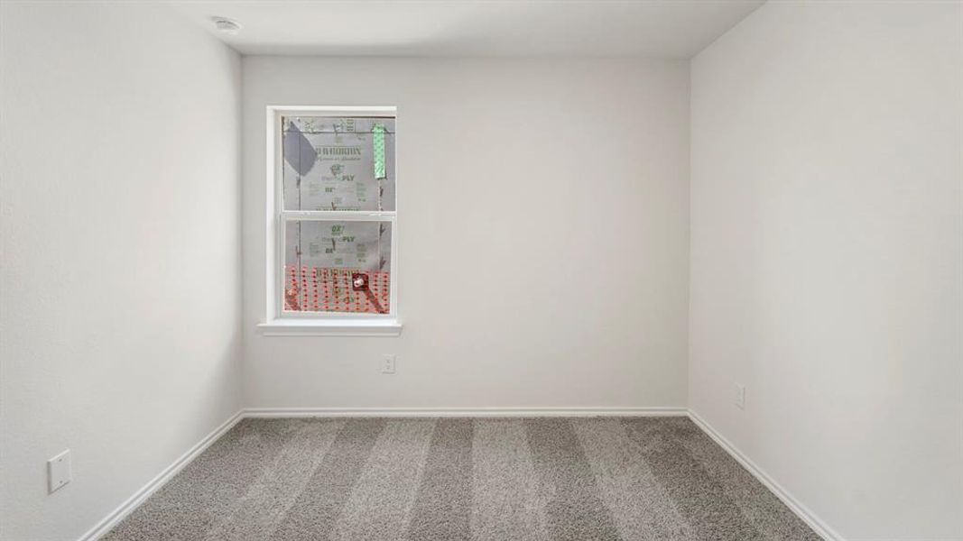 Spacious room with plush gray carpet, crisp white walls, white baseboards, and a double-hung window