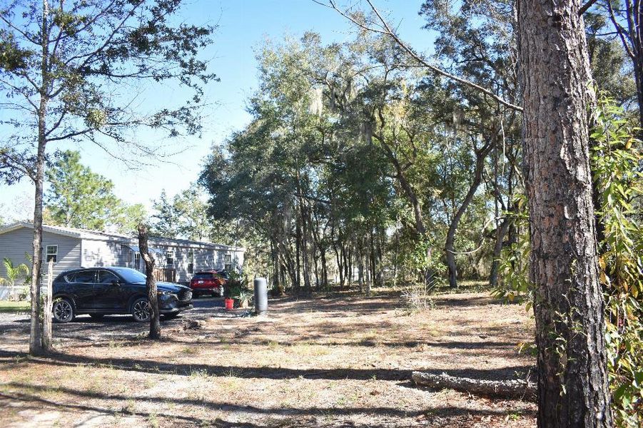Natural landscape and outdoor views near  in Williston (Image 61).