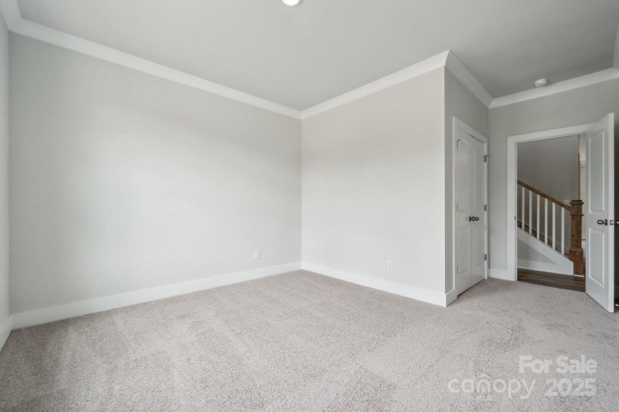 Representative picture