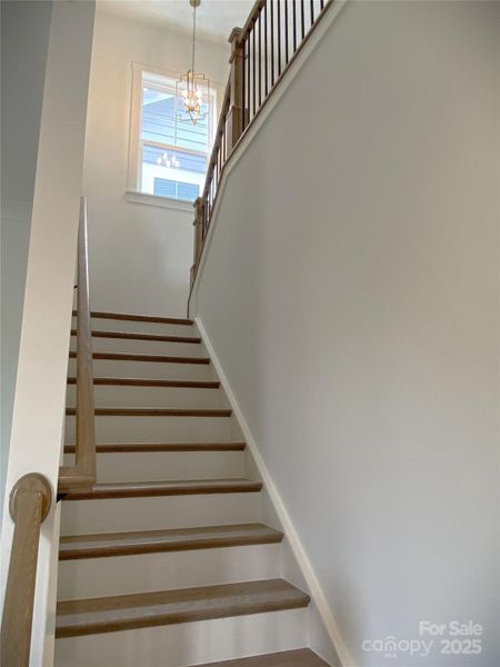 Spacious, unfurnished interior of a new home in , Davidson (Image 24).