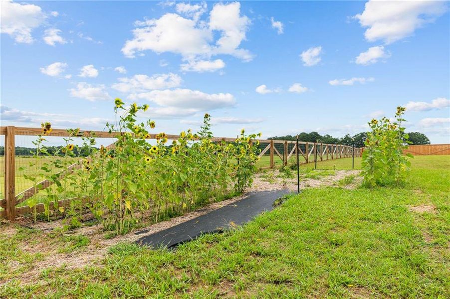 Natural landscape and outdoor views near in Covington (Image 46). Natural landscape and outdoor views near in Covington (Image 46).