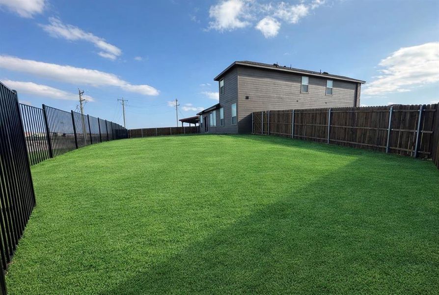 View of fenced backyard