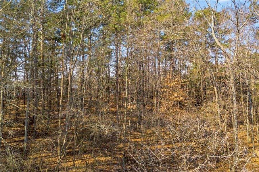 Natural landscape and outdoor views near  in Buford (Image 8).