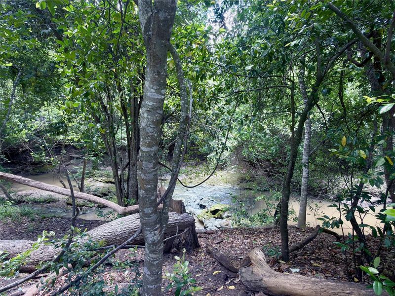 Natural landscape and outdoor views near  in Brenham (Image 14).